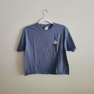 Vintage Blue Embroidered Crop Top